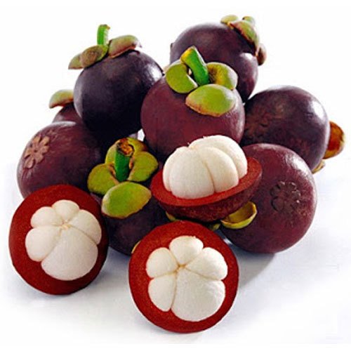 MANGOSTEEN